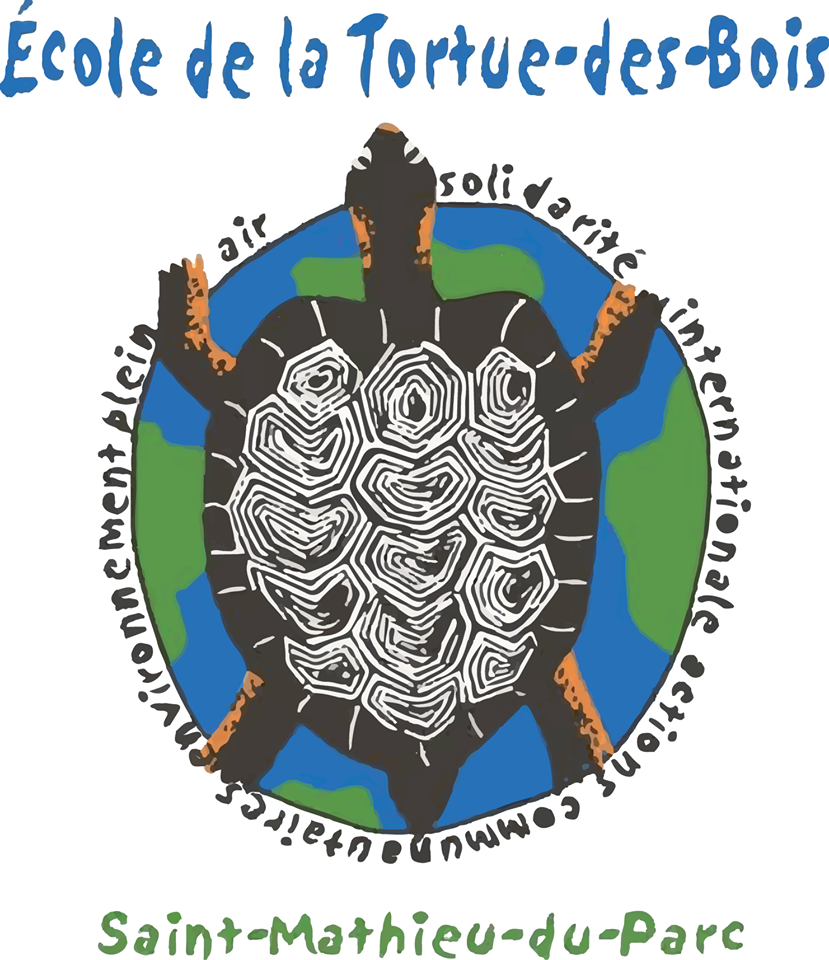 ecole-tortue-des-bois.png