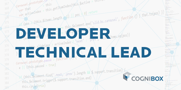 Developer – Technical Lead